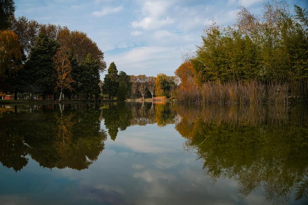 Les nouvelles tendances dans les soins à domicile pour les seniors